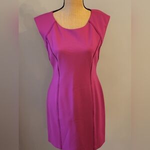 Catherine Maladrino Size 8 Magenta Pink Lined Rayon Blend Sheath Dress